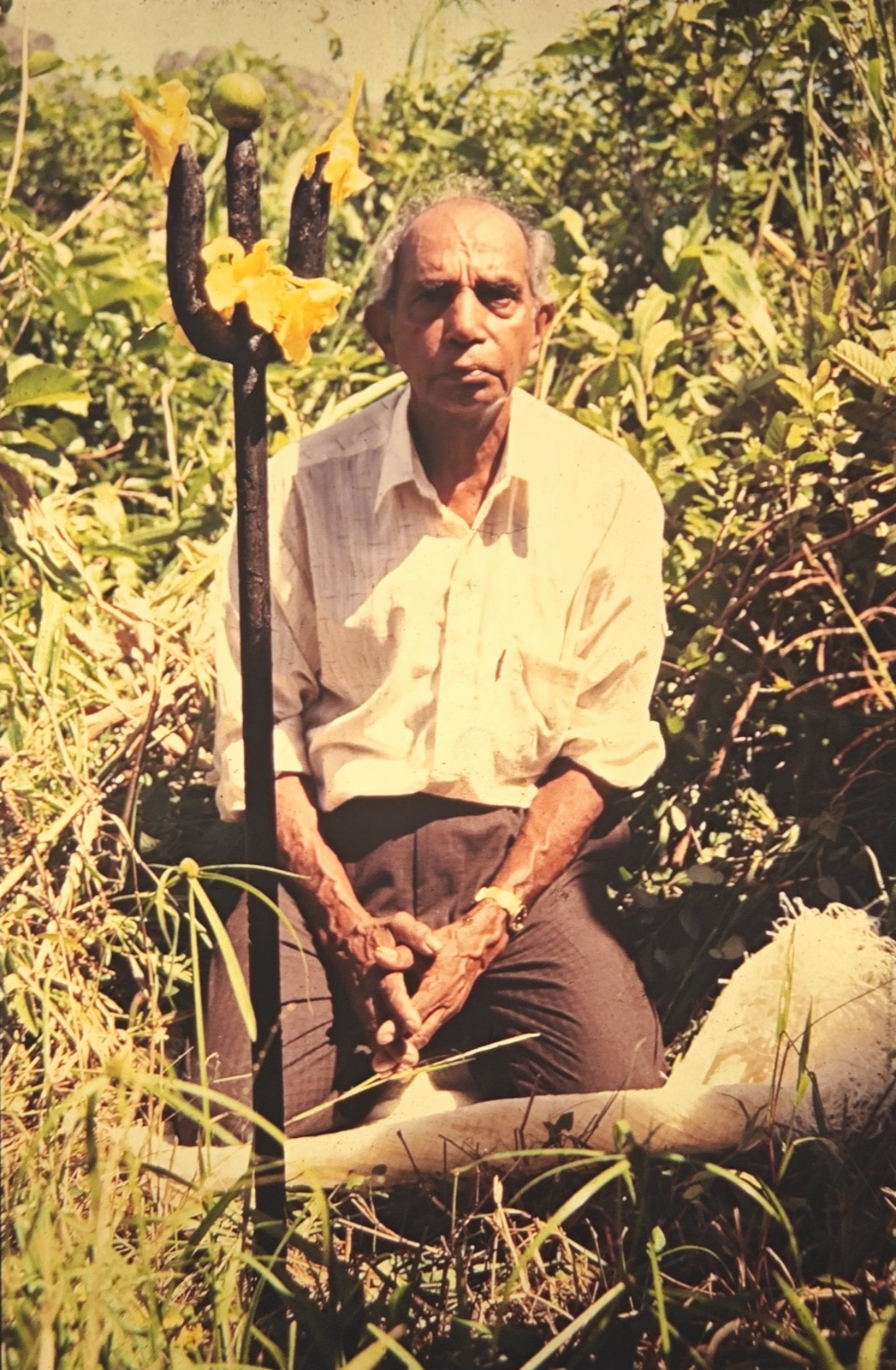 A Journey to the Source